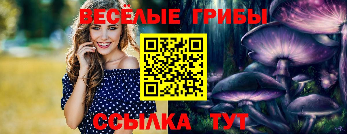Галлюциногенные грибы мицелий  Вход с VPN  Нефтекумск 