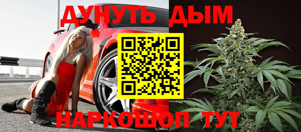 Канабис планчик Нефтекумск